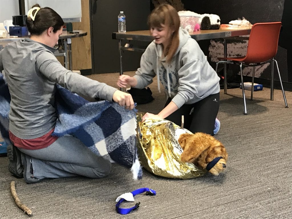 couverture survie chien chat