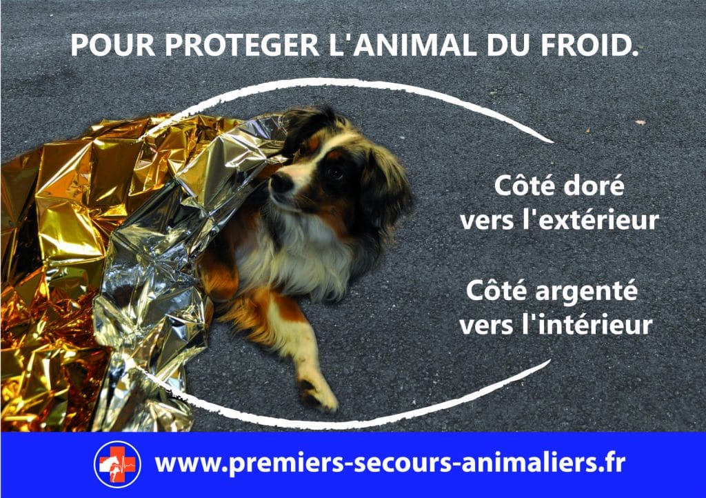 couverture de survie chien chat