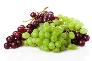 raisin intoxication chien