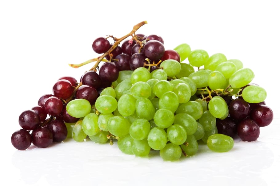 raisin intoxication chien