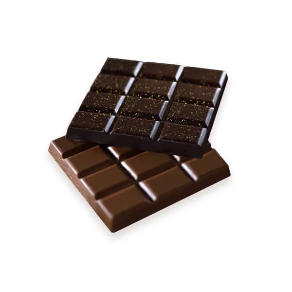 intoxication chien chocolat