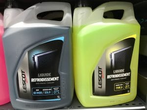 intoxication antigel chien chat