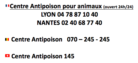 centre antipoison chien chat