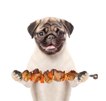 chien pic brochette barbecue danger