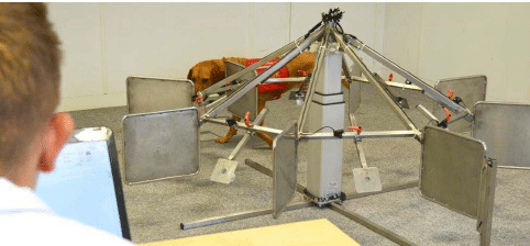 chiens detection covid19 coronavirus