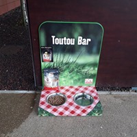 Toutou's bar