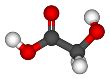 intoxication ethylene glycol chien chat