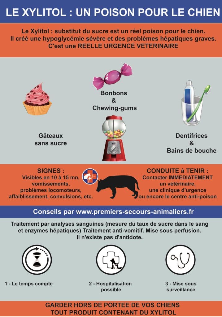 intoxication chien xylitol