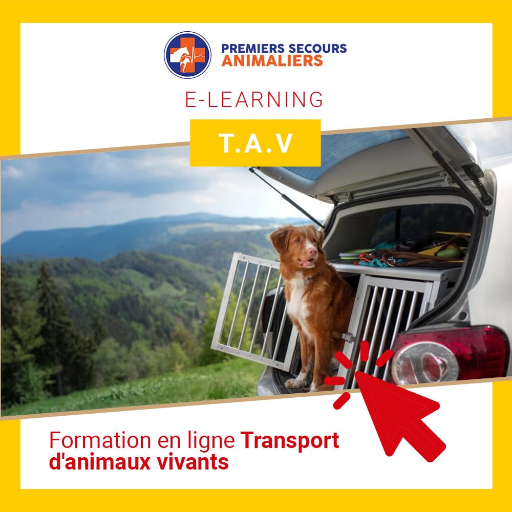 Transport d'Animaux Vivants