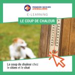 Le-coup-de-chaleur
