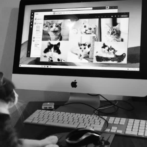 ACACED Visio classe virtuelle